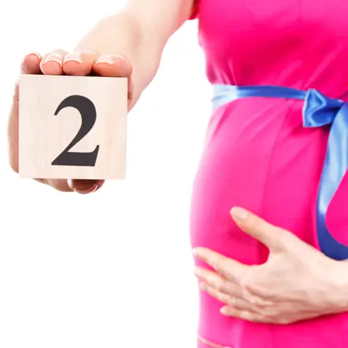 ماه دوم بارداری